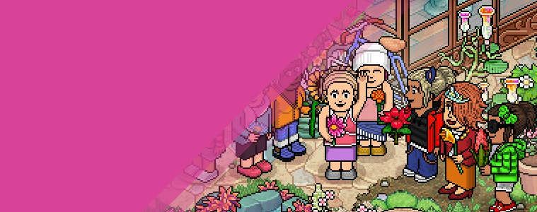 [NEWS] Du nouveau sur HabibACTU !